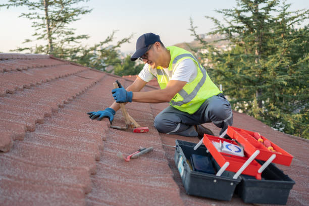 Best Roof Leak Repair  in Wakeman, OH